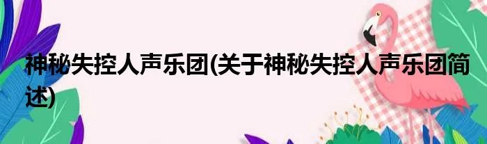 神秘失控人声乐团(关于神秘失控人声乐团简述)