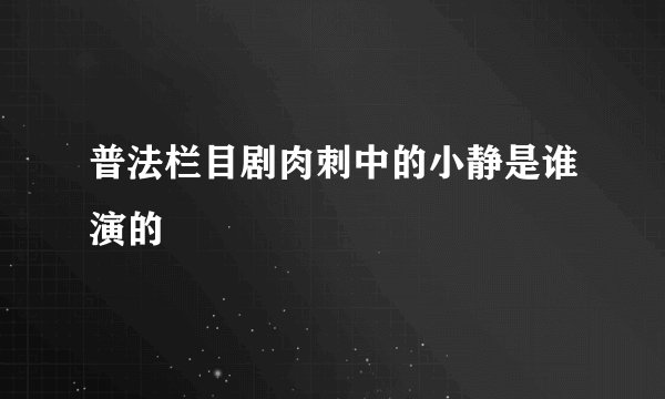普法栏目剧肉刺中的小静是谁演的