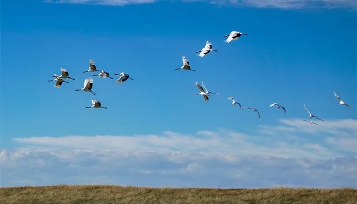 齐齐哈尔是哪个省的省会