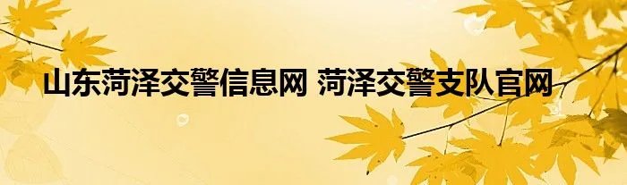 山东菏泽交警信息网 菏泽交警支队官网