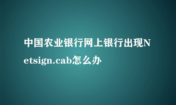 中国农业银行网上银行出现Netsign.cab怎么办