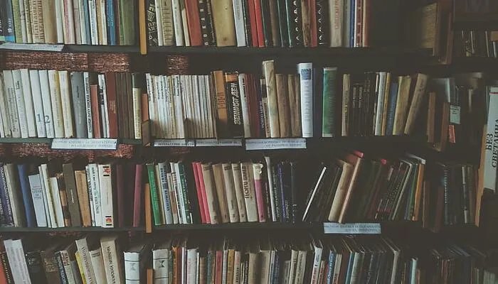 方羽修炼五千年小说叫什么名字