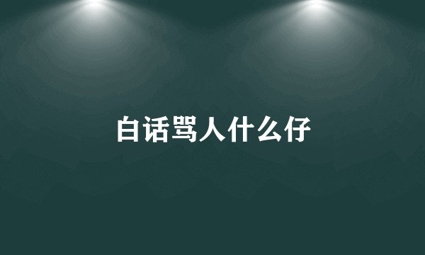 白话骂人什么仔