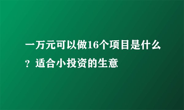 一万元可以做16个项目是什么？适合小投资的生意