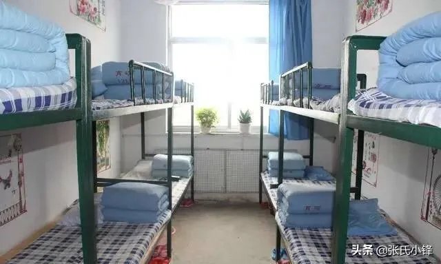 变乱家庭小说阅读