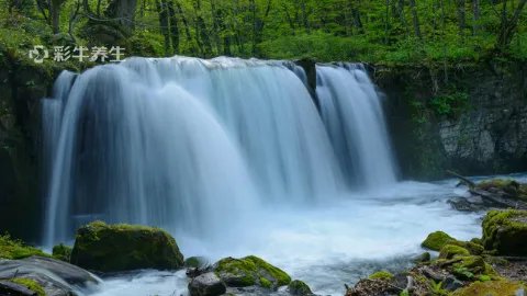 负离子的作用与功效