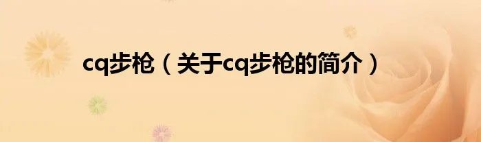 cq步枪（关于cq步枪的简介）