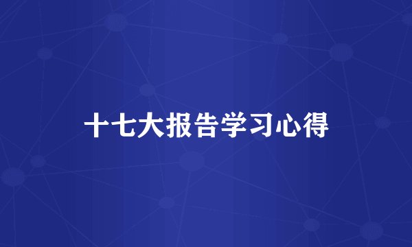 十七大报告学习心得