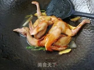 红烧鸽子