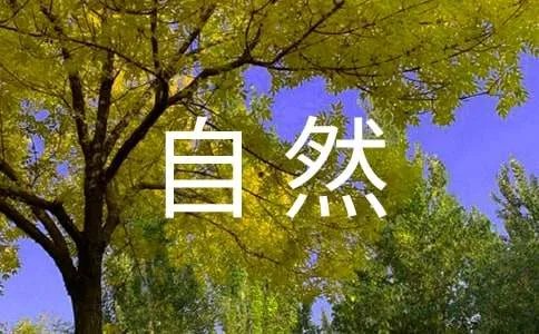 大自然的语言教案
