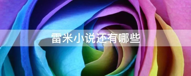 雷米小说还有哪些