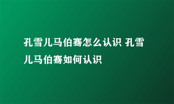 孔雪儿马伯骞怎么认识 孔雪儿马伯骞如何认识