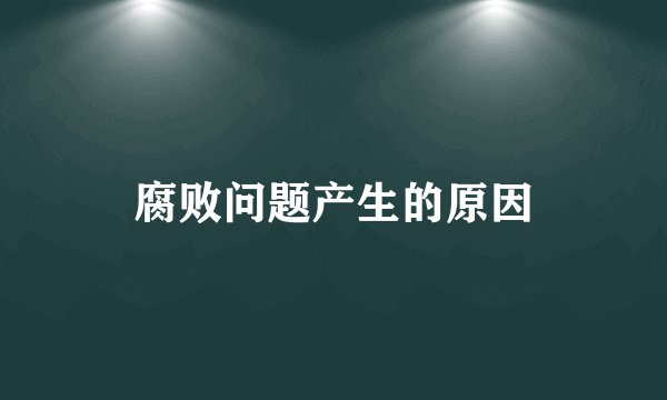 腐败问题产生的原因