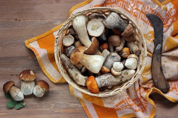 初夏养生12条常识要知道