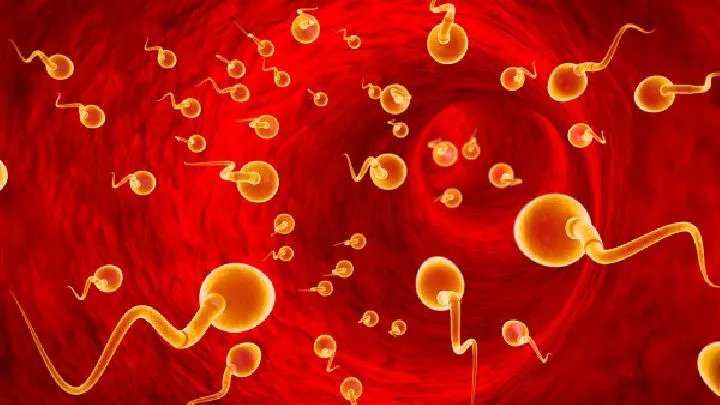 一般都有哪些男性不育检查项目呢？