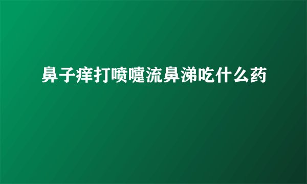 鼻子痒打喷嚏流鼻涕吃什么药