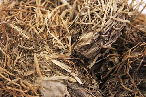 南瓜根的功效与作用