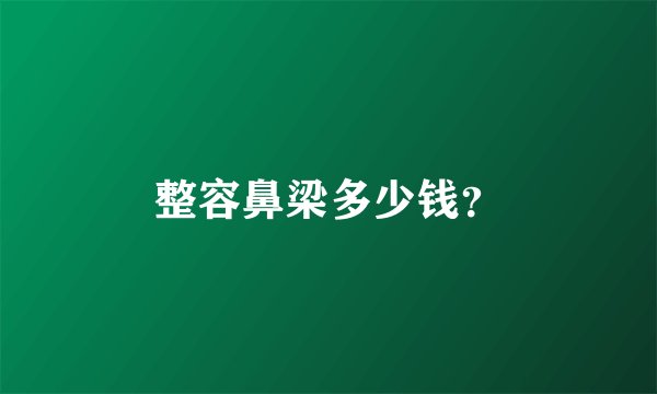 整容鼻梁多少钱?
