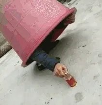 求超级搞笑的图片?