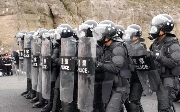 MTF到底都有哪些意思