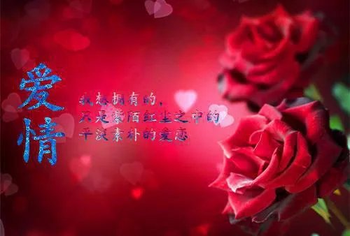 1794卜雪松小说 赵宇孙曼在线阅读