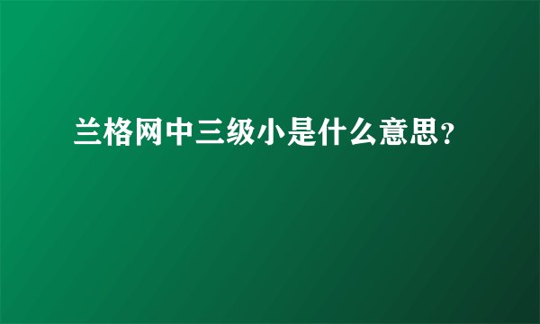 兰格网中三级小是什么意思？