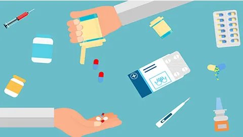 百合的功效与作用