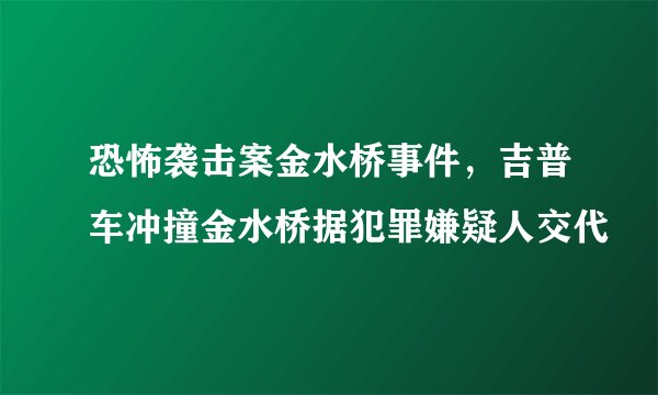 恐怖袭击案金水桥事件,吉普车冲撞金水桥据犯罪嫌疑人交代