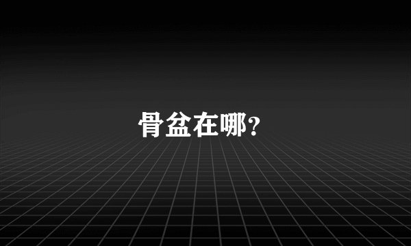 骨盆在哪？