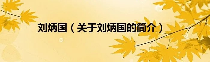 刘炳国（关于刘炳国的简介）