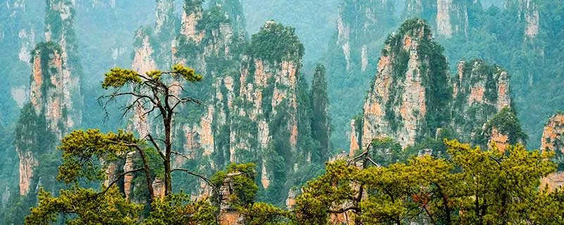 张家界是哪个省份的旅游景点