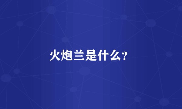 火炮兰是什么？