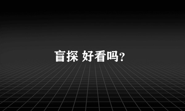 盲探 好看吗？