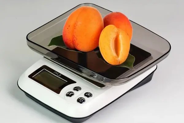 125磅等于多少公斤 1磅是多少千克