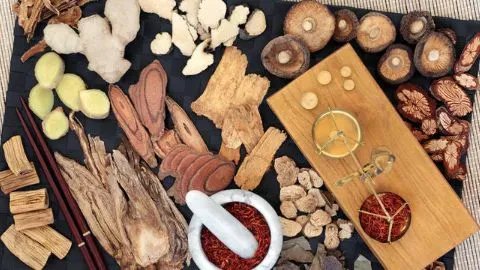 艾草的功效和作用