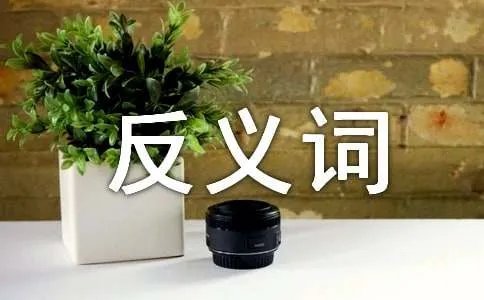 含有一对反义词的成语