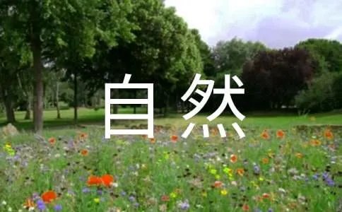 描写自然景物的成语