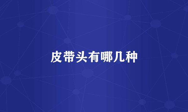 皮带头有哪几种