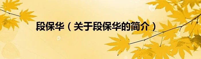 段保华（关于段保华的简介）