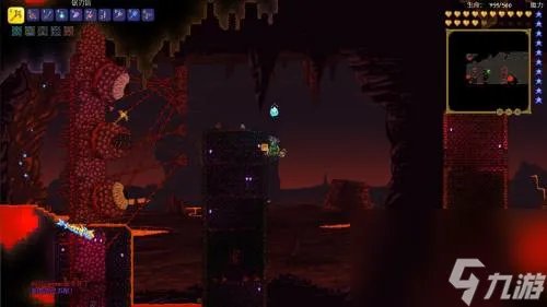 泰拉瑞亚专家模式肉山怎么打  泰拉瑞亚