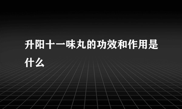 升阳十一味丸的功效和作用是什么
