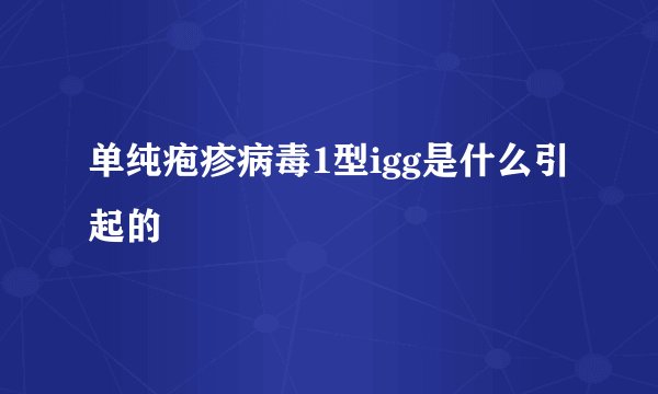 单纯疱疹病毒1型igg是什么引起的