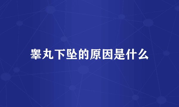 睾丸下坠的原因是什么