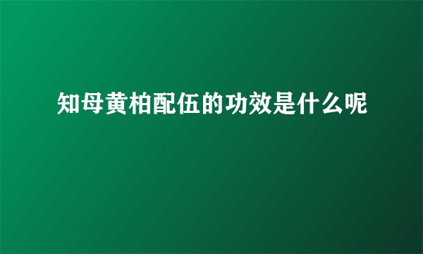 知母黄柏配伍的功效是什么呢
