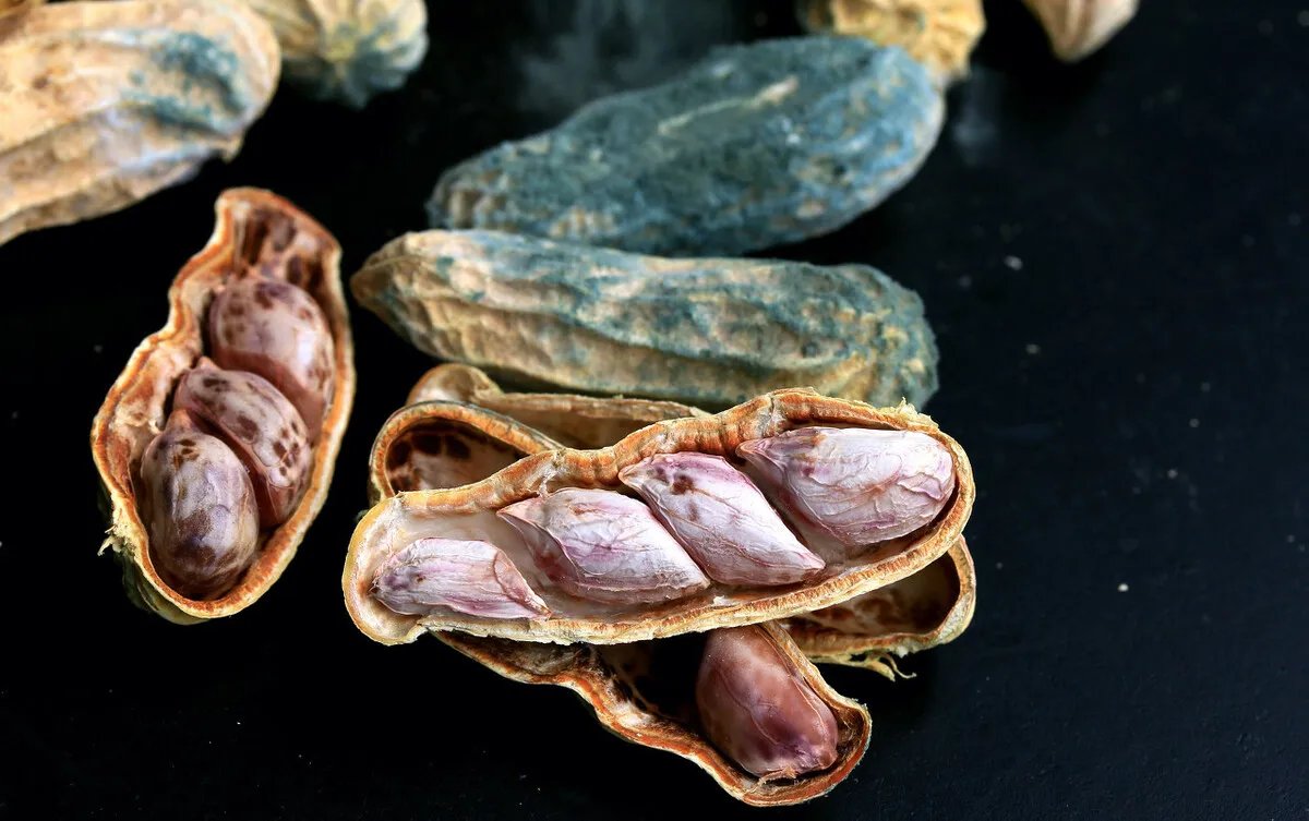 人人害怕生癌症，但很少人知道哪些是一级致癌物，有人天天喝