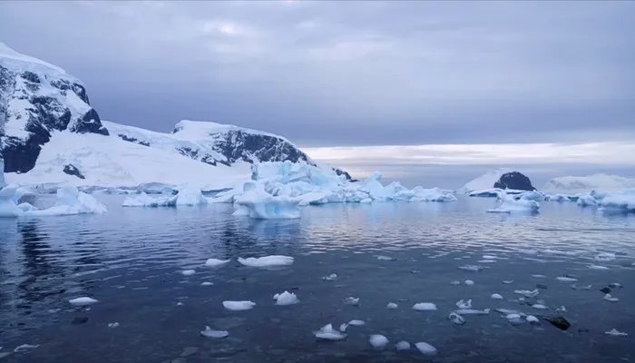 平均海拔最高的大洲 平均海拔最高的大洲是什么