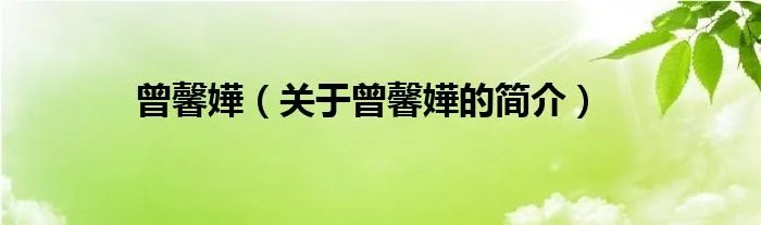 曾馨嬅（关于曾馨嬅的简介）