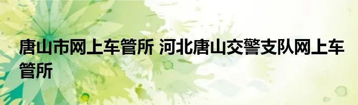 唐山市网上车管所 河北唐山交警支队网上车管所