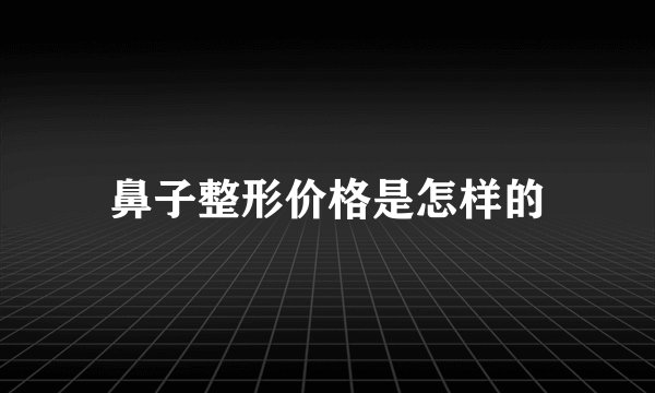 鼻子整形价格是怎样的