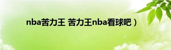nba苦力王 苦力王nba看球吧)